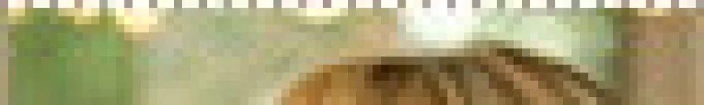 Lontano dagli occhi, lontano dal cuore?